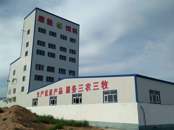 成功案例